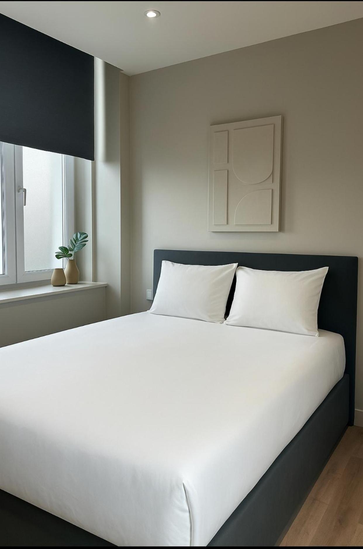 Myakaappartement Fontana Cholet